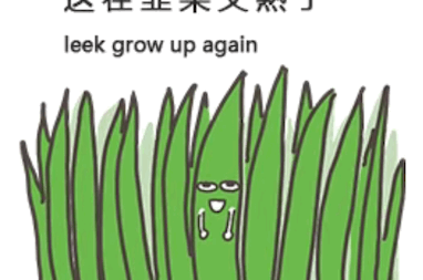 图片[11]-直播间的韭菜修炼手册：我那被大饼喂饱的三个月